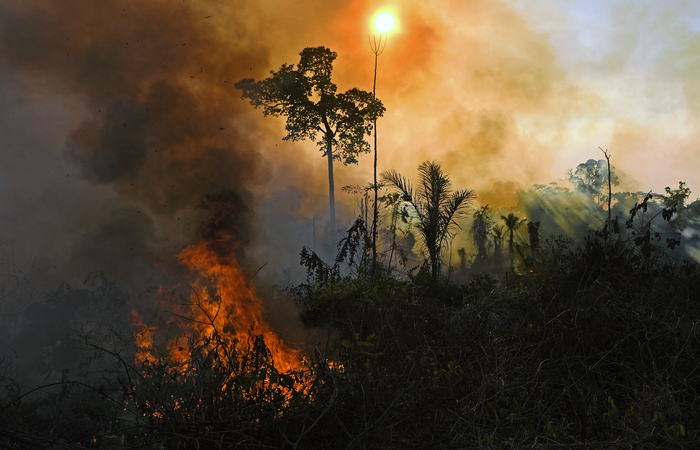 (Foto: CARL DE SOUZA / AFP
) (Foto: CARL DE SOUZA / AFP
)