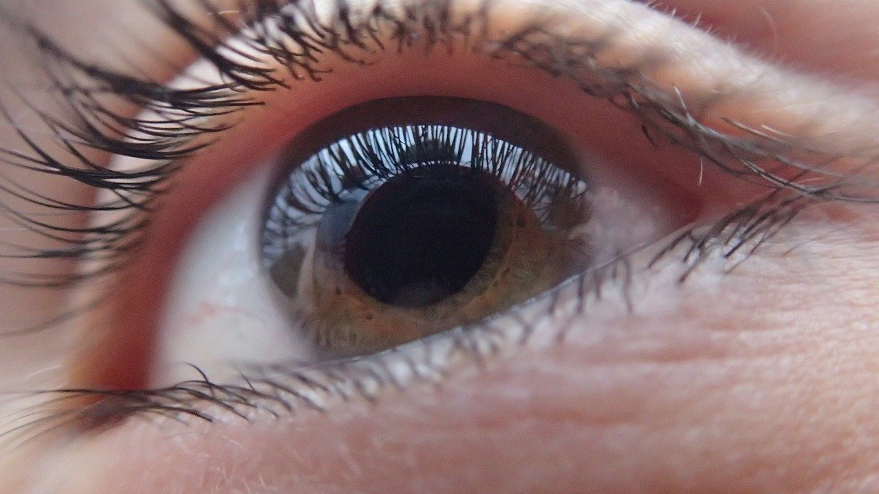 (Foto: Reprodução/Pixabay) (Foto: Reprodução/Pixabay)