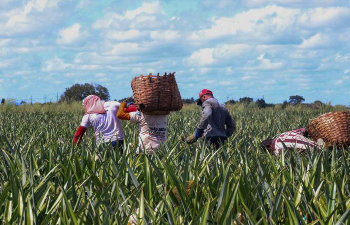 (Foto: Diego Inove/Fotos Públicas) (Foto: Diego Inove/Fotos Públicas)