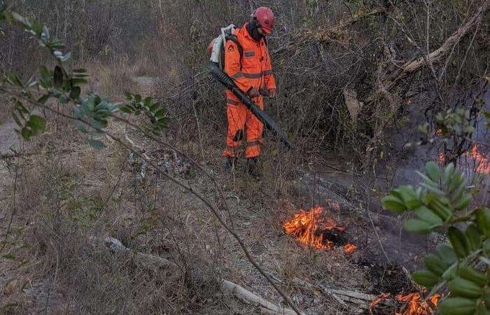 (Foto: Corpo de Bombeiros/Divulgação) (Foto: Corpo de Bombeiros/Divulgação)