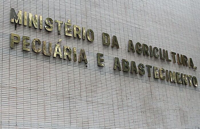 (Foto: Wilson Dias/Agência Brasil) (Foto: Wilson Dias/Agência Brasil)