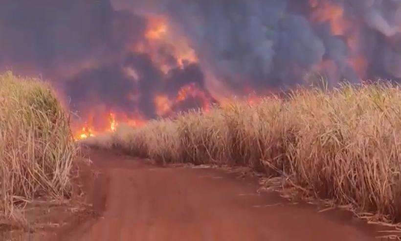(O incêndio em Delta destruiu extensa área de plantação de cana-de-açúcar. Foto: Reprodução/WhatsApp) (O incêndio em Delta destruiu extensa área de plantação de cana-de-açúcar. Foto: Reprodução/WhatsApp)