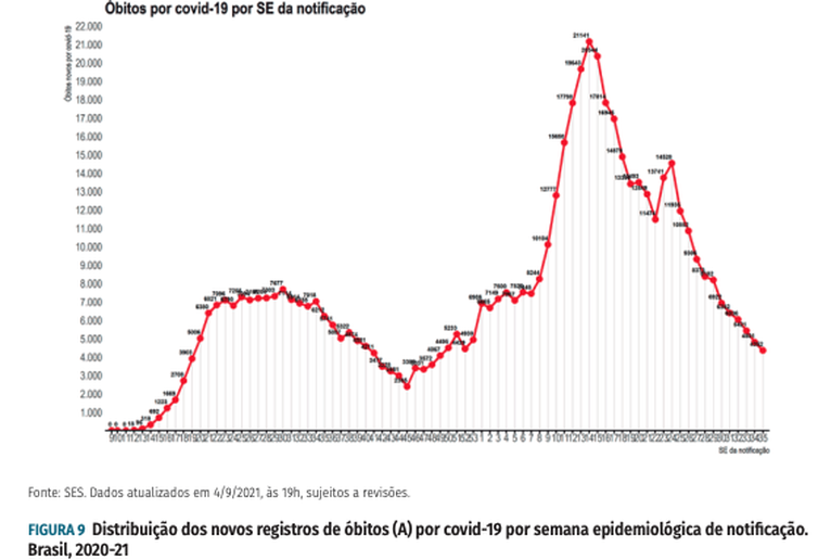 (Foto: Reprodução/Boletim Epidemiológico Covid-19 - Ministério da Saúde) (Foto: Reprodução/Boletim Epidemiológico Covid-19 - Ministério da Saúde)