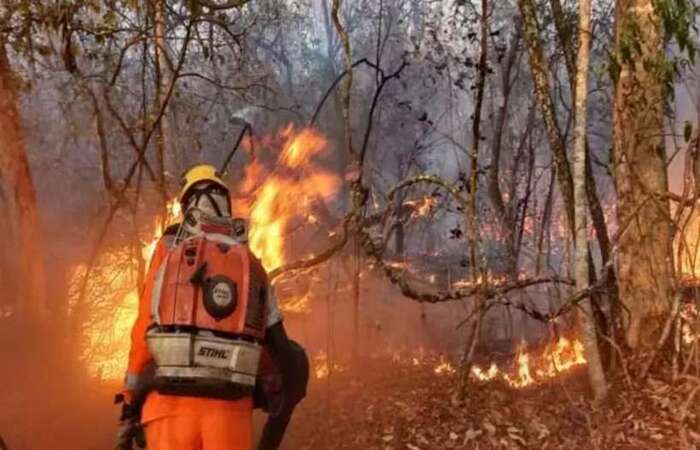 (Foto: Corpo de Bombeiros de MG/Divulgação ) (Foto: Corpo de Bombeiros de MG/Divulgação )