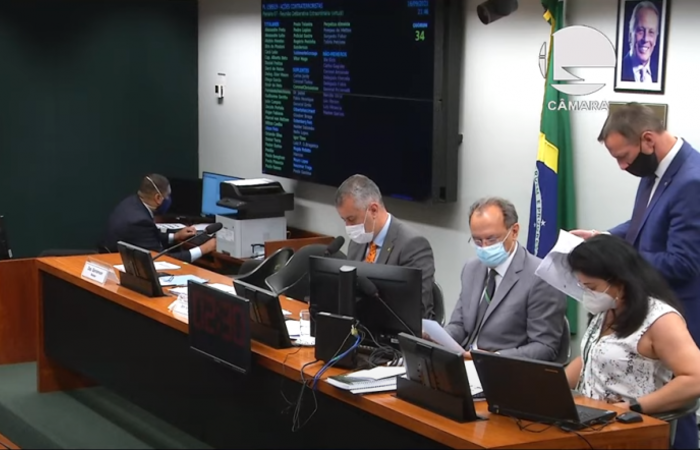 (Foto: Reprodução/TV Câmara) (Foto: Reprodução/TV Câmara)
