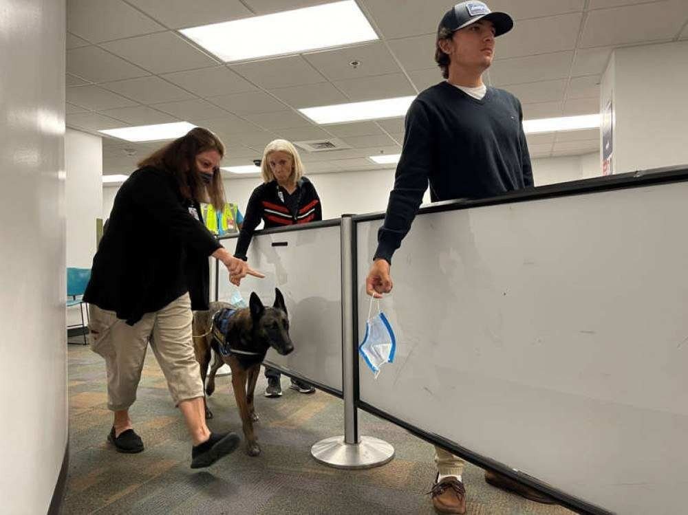 Além da detecção de drogas e armas, funcionários agora passam também pela detecção de coronavírus (Foto: Miami International Airport) Além da detecção de drogas e armas, funcionários agora passam também pela detecção de coronavírus (Foto: Miami International Airport)
