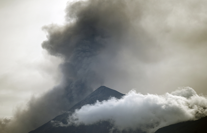 (Foto: Johan ORDONEZ / AFP
) (Foto: Johan ORDONEZ / AFP
)