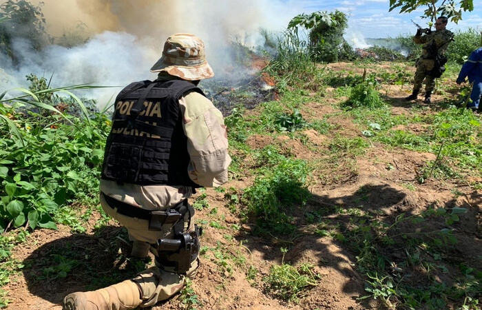  (Foto: PF/Divulgação)