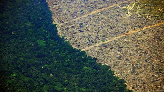 (Foto: Carl de Souza/AFP) (Foto: Carl de Souza/AFP)