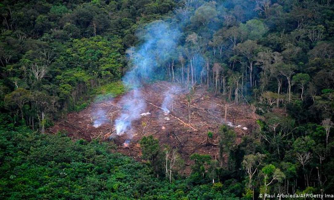 UnB Ciência - Degradação florestal supera desmatamento na Amazônia