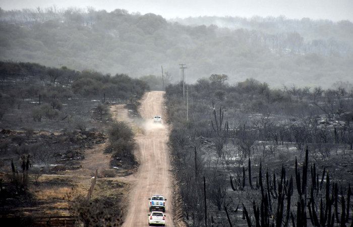  (Foto: Laura LESCANO / TELAM / AFP
)