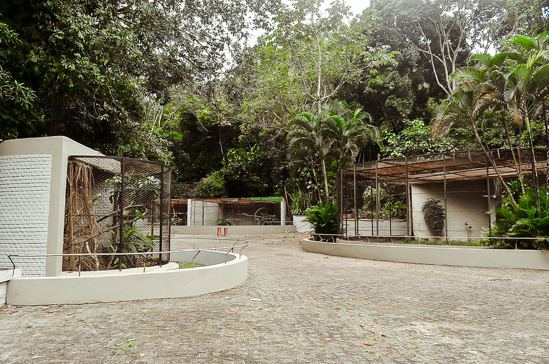 Na série Vamos Pintar e - Parque Estadual de Dois Irmãos