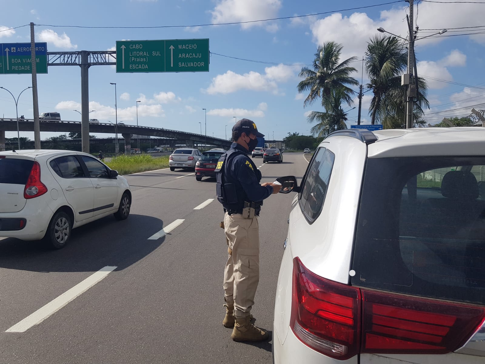 Mdia de acidentes por dia caiu em relao ao mesmo feriado do ano passado; 48 animais de grande porte foram recolhidos das rodovias. (PRF/Divulgao)