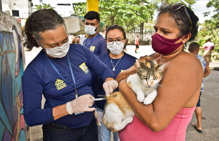  (Neste sbado (23) e domingo (24), tutores de ces e gatos podem levar os bichos para serem imunizados gratuitamente, das 8h s 13h. Foto: Daniel Tavares/Prefeitura do Recife
)