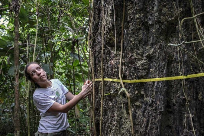 (Foto: Marizilda Cruppe / Rede Amazonia Sustentavel /AFP) (Foto: Marizilda Cruppe / Rede Amazonia Sustentavel /AFP)