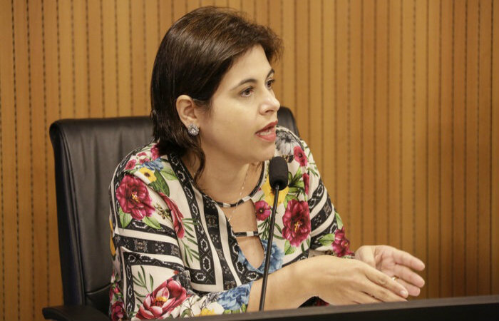 (Foto: Divulgação - Alepe
) (Foto: Divulgação - Alepe
)