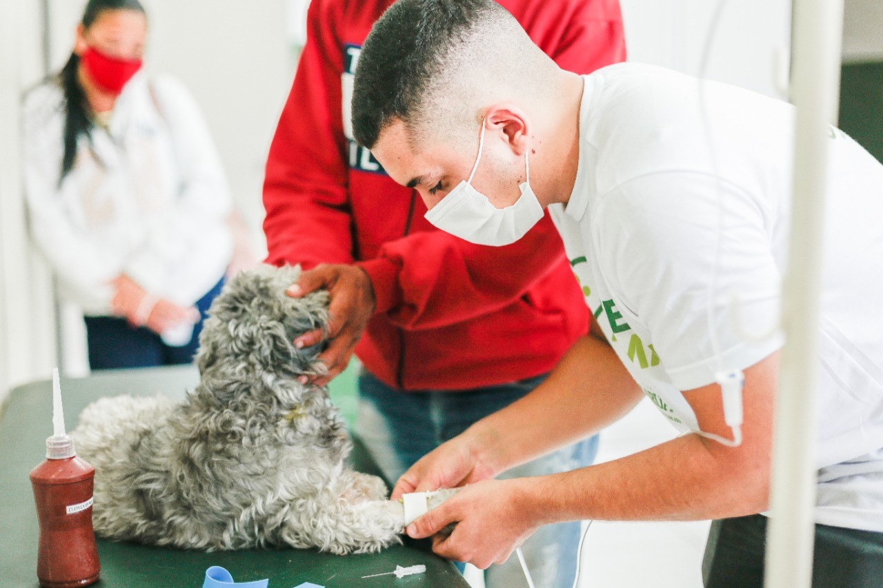 Prefeitura de Caruaru registra maior nmero de quimioterapias veterinrias e vacinao realizadas desde 2019.
 (Foto: Elvis Edson
)