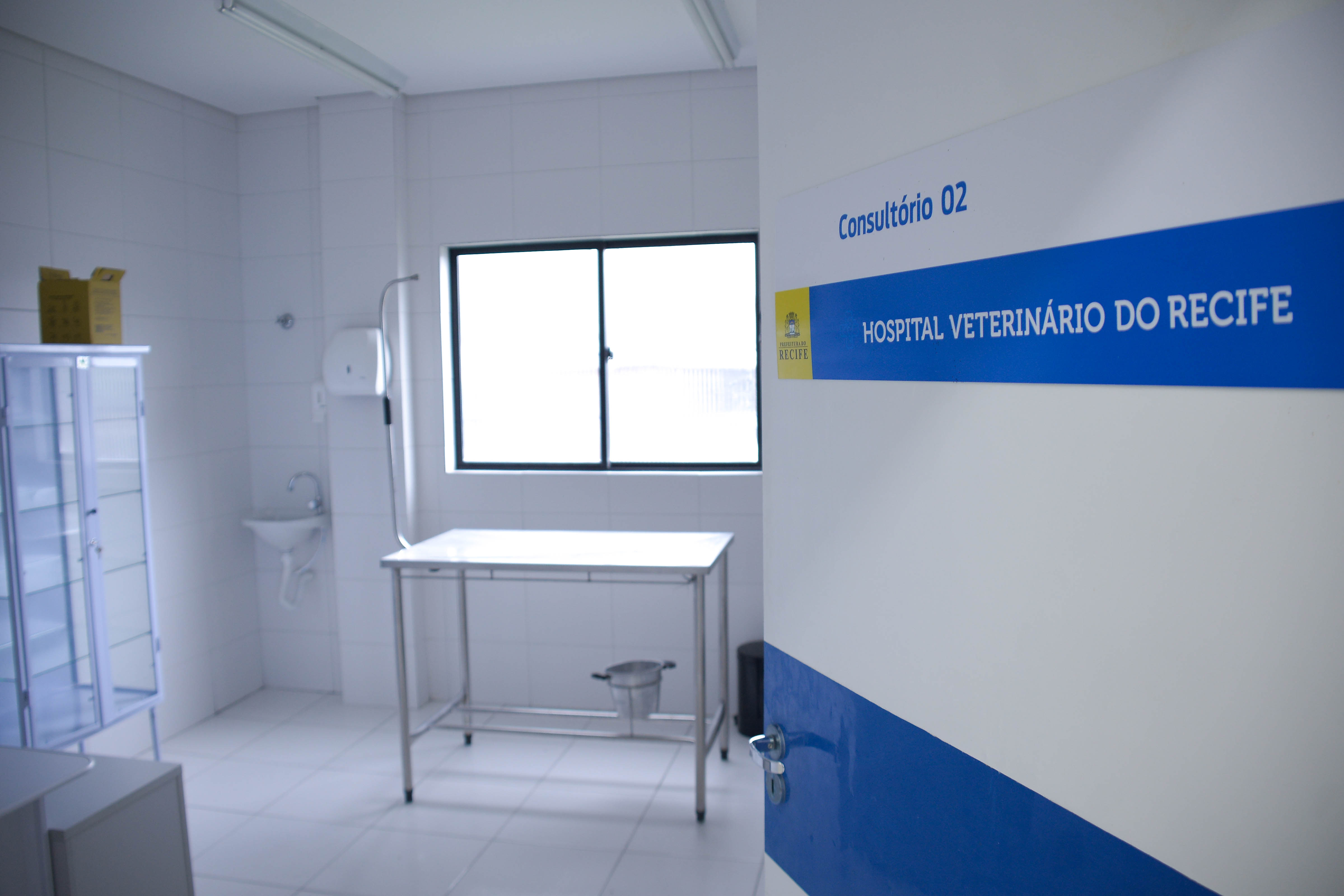 Para evitar a hiperplasia prostática benigna, doença mais recorrente em cães machos, a recomendação é castrar os animais. Mensalmente, o Hospital Veterinário do Recife realiza o serviço gratuitamente, oferecendo 1 mil vagas à população.
(Daniel Tavares/Prefeitura do Recife
) Para evitar a hiperplasia prostática benigna, doença mais recorrente em cães machos, a recomendação é castrar os animais. Mensalmente, o Hospital Veterinário do Recife realiza o serviço gratuitamente, oferecendo 1 mil vagas à população.
(Daniel Tavares/Prefeitura do Recife
)