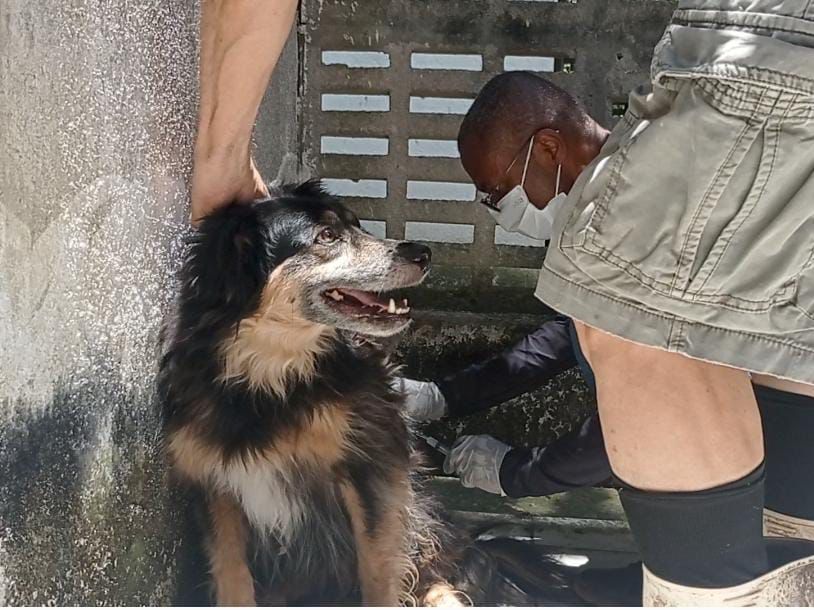 Segundo o diretor da Vigilncia em Sade, Geraldo Vieira, a campanha  importante para formar uma barreira imunolgica nos animais do municpio.  (Fotos: Lucas Rocha)