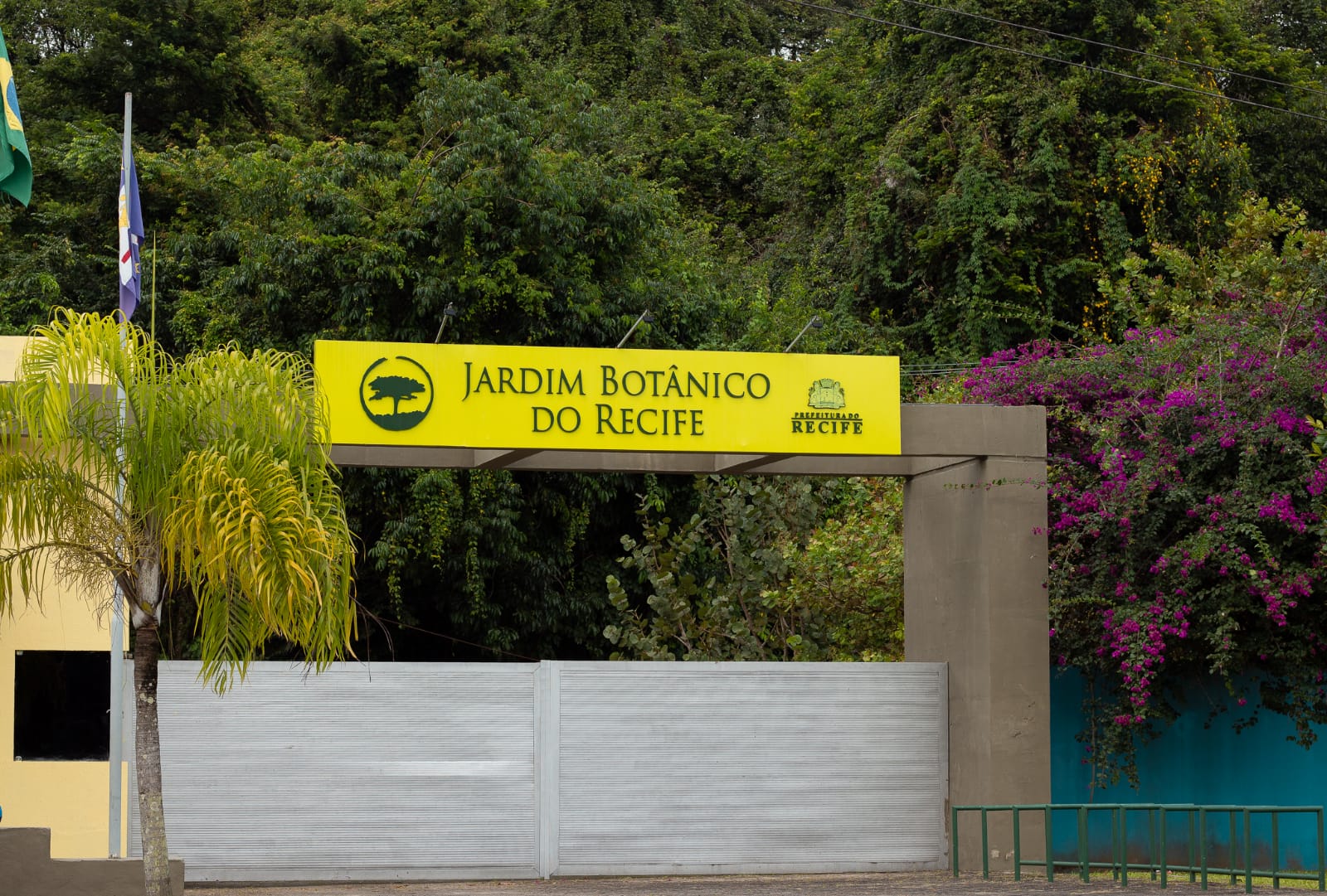 (SMAS/Divulgação) (SMAS/Divulgação)