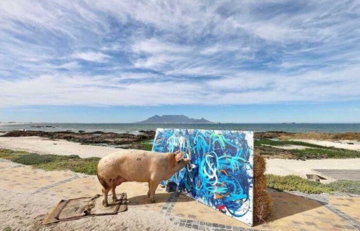 Com cinco anos de carreira e quadro expostos em galeria, valor faturado é recorde para pintura animal (Foto: Reprodução/Instagram) Com cinco anos de carreira e quadro expostos em galeria, valor faturado é recorde para pintura animal (Foto: Reprodução/Instagram)