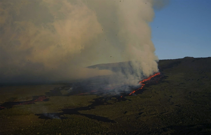 (Foto: PARQUE NACIONAL GALAPAGOS / AFP
) (Foto: PARQUE NACIONAL GALAPAGOS / AFP
)