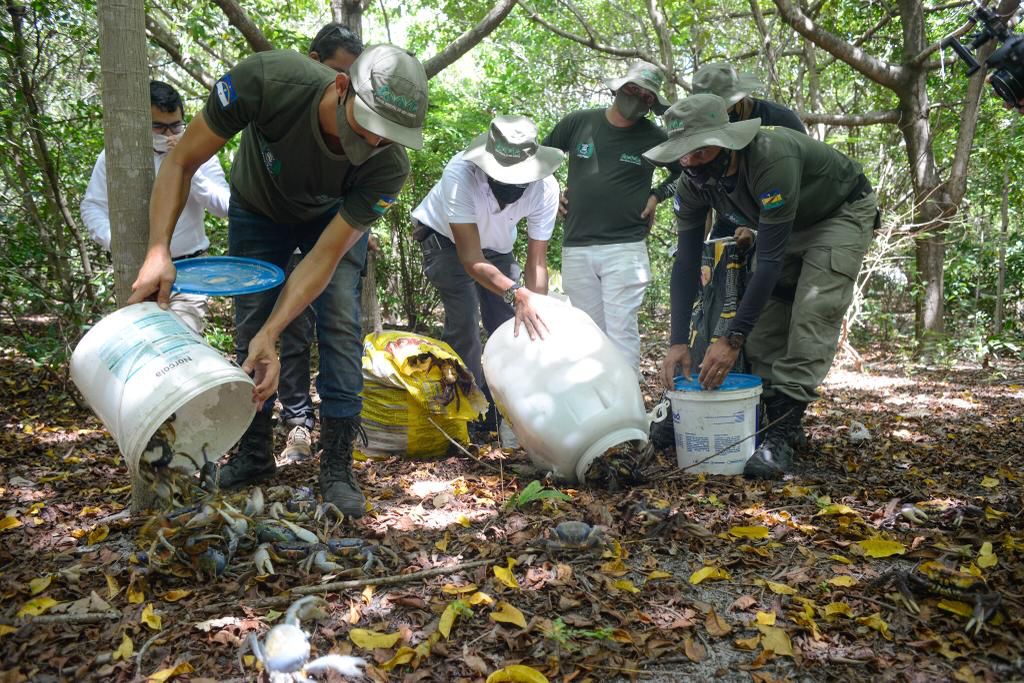  (Foto: Secom/Ipojuca)