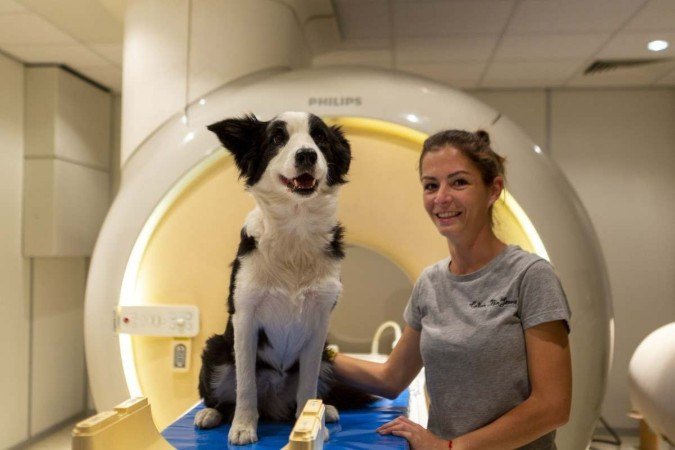  (Habilidade  revelada em anlise do crebro de 18 cachorros enquanto eles ouviam o tutor e uma lngua desconhecida. Foto: Grzegorz Eliasiewicz/Divulgao)