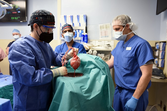 (Foto: UNIVERSITY OF MARYLAND SCHOOL OF MEDICINE / AFP) (Foto: UNIVERSITY OF MARYLAND SCHOOL OF MEDICINE / AFP)