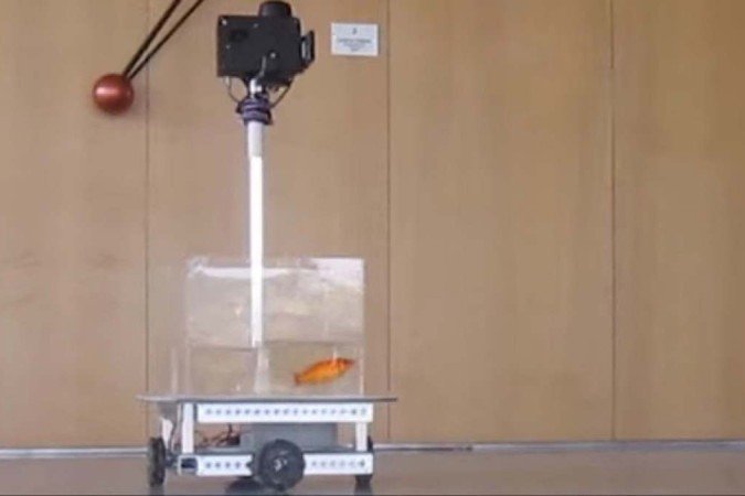 (O veículo utilizado para a pesquisa conta com um tanque de água e segue a direção que o peixe desejar. Foto: Reprodução/LiveScience/YouTube)
