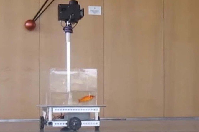 (O veículo utilizado para a pesquisa conta com um tanque de água e segue a direção que o peixe desejar. Foto: Reprodução/LiveScience/YouTube) (O veículo utilizado para a pesquisa conta com um tanque de água e segue a direção que o peixe desejar. Foto: Reprodução/LiveScience/YouTube)