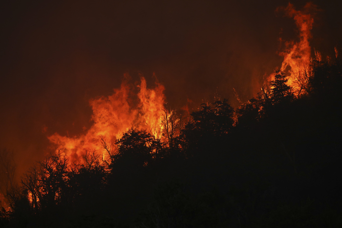 (Foto: Francisco RAMOS MEJIA / AFP
) (Foto: Francisco RAMOS MEJIA / AFP
)
