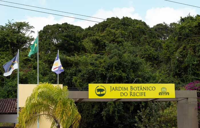  (Pesquisa Flora do Brasil 2020, coordenada pelo Jardim Botnico do Rio de Janeiro, durou cerca de 12 anos. Foto: Divulgao/SMAS.
)