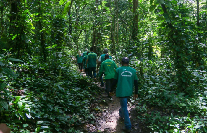 Ao todo, 25 alunos do mestrado em Ciência Florestal participam da atividade
 (Divulgação)