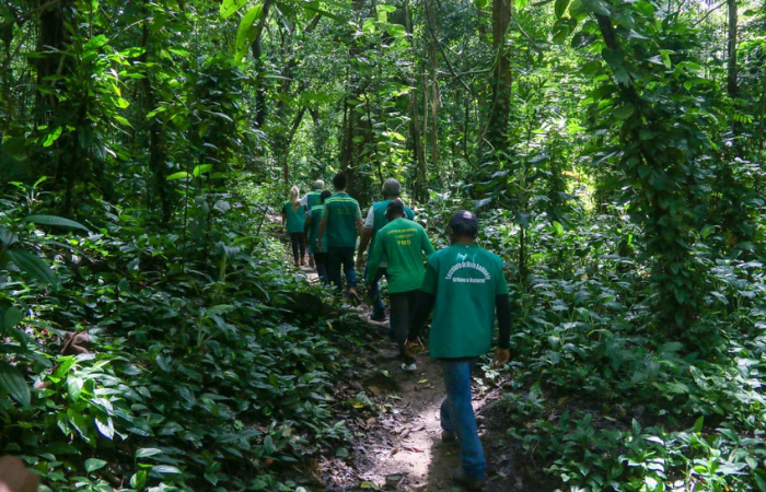 Ao todo, 25 alunos do mestrado em Ciência Florestal participam da atividade<br />
 (Divulgação)