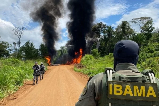 (crédito: Ibama/Divulgação) (crédito: Ibama/Divulgação)