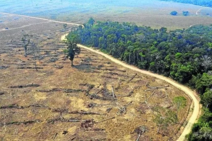 El cambio climático podría desencadenar la próxima pandemia, según estudio