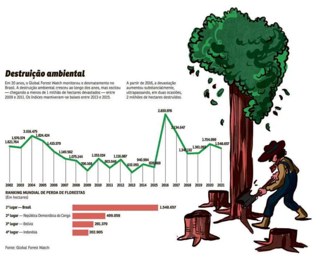Brasil lidera ranking de devastação de floresta (Foto: CB/D A Press)