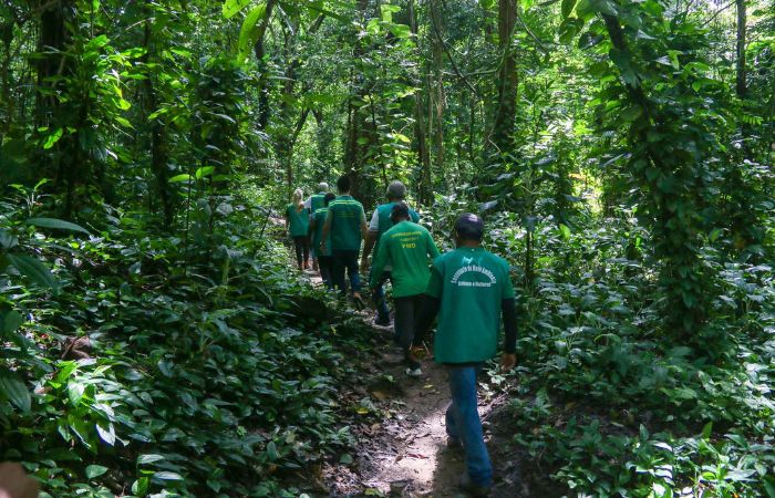 Estudantes do mestrado em Ciência Florestal da UFRPE participarão da atividade<br />
 (Divulgação)