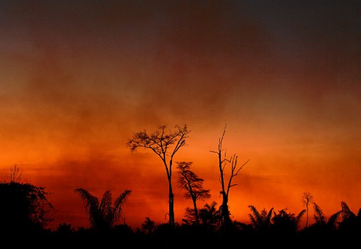  (Foto: CARL DE SOUZA / AFP)