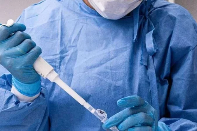 UFMG detecta nova linhagem da variante &Ocirc;micron no Brasil | DP Mais Sa&uacute;de:  Diario de Pernambuco