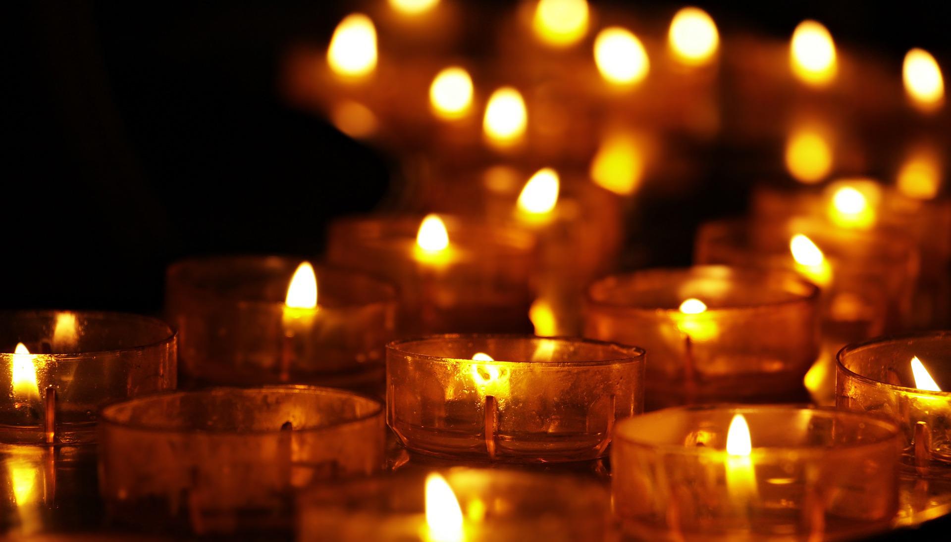 (Foto: Reprodução/Pixabay) (Foto: Reprodução/Pixabay)