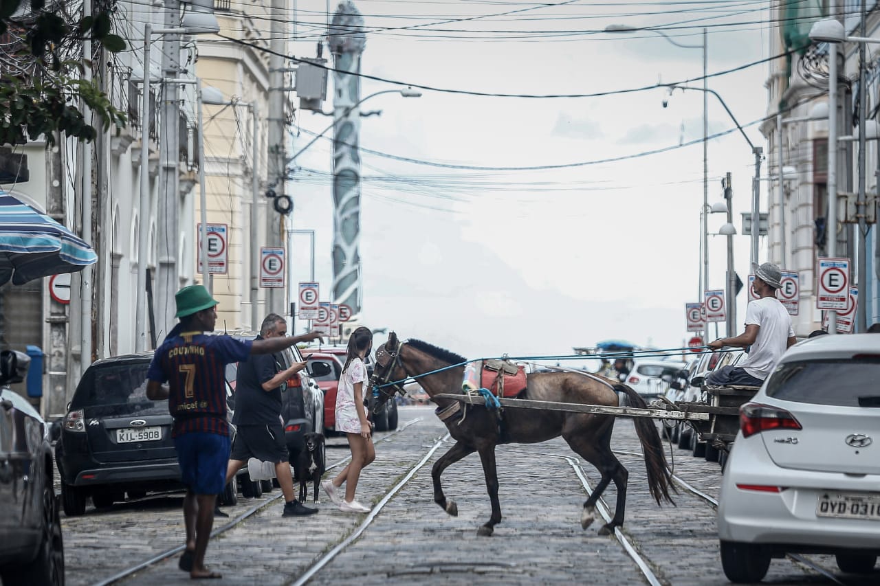 Promotoria recomenda cumprimento do cronograma para gradual retirada dos veculos de trao animal. Secretaria tem 10 dias para informar sobre o acatamento ou no da recomendao. (Paulo Paiva/Arquivo DP.
)