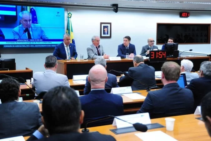 (Foto: Billy Boss/Câmara dos Deputados) (Foto: Billy Boss/Câmara dos Deputados)