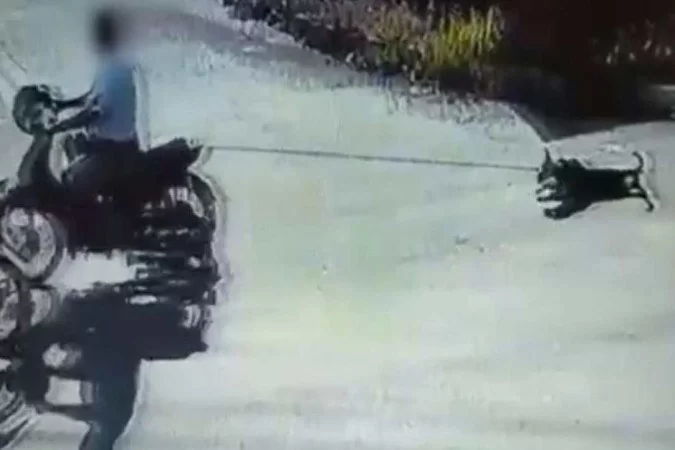 (crédito: Divulgação/Polícia Civil ) (crédito: Divulgação/Polícia Civil )
