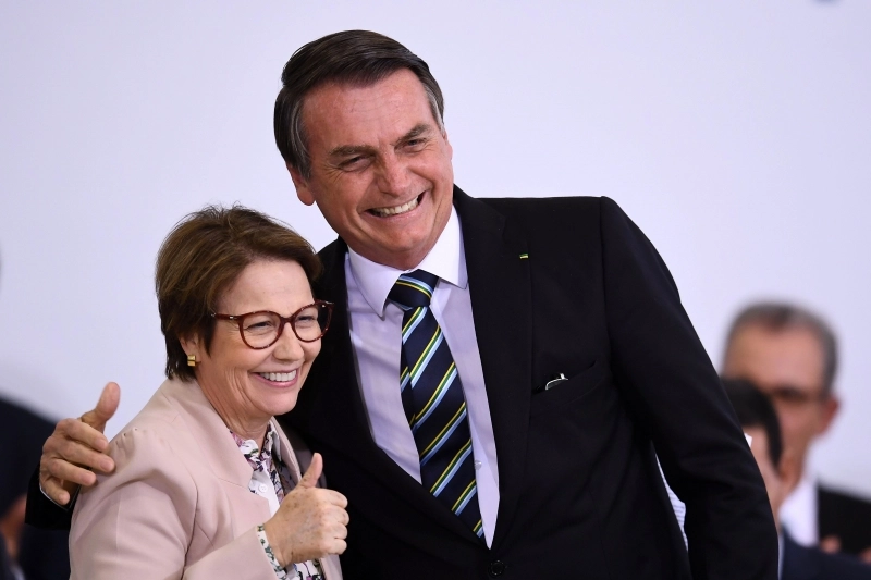  (Os dois deixaram os cargos de ministros para concorrer a cargos eletivos no pleito de 2022. Foto: Evaristo Sá/AFP)