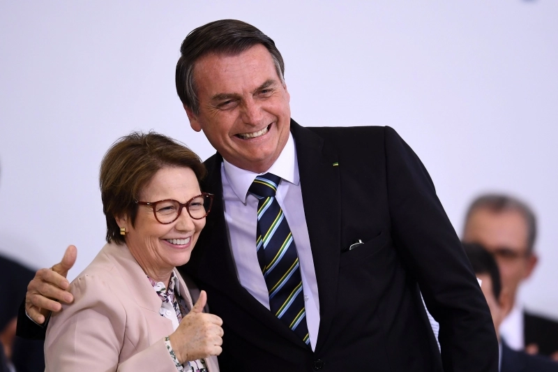 (Os dois deixaram os cargos de ministros para concorrer a cargos eletivos no pleito de 2022. Foto: Evaristo Sá/AFP) (Os dois deixaram os cargos de ministros para concorrer a cargos eletivos no pleito de 2022. Foto: Evaristo Sá/AFP)