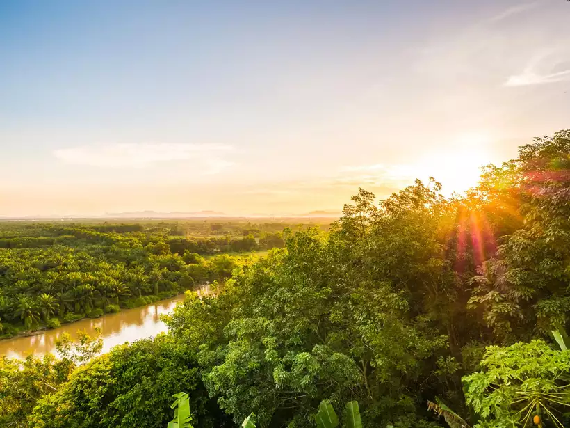 (Ratanabá seria uma cidade secreta na Amazônia brasileira. Especialistas descartam a possibilidade. Foto: Freepik) (Ratanabá seria uma cidade secreta na Amazônia brasileira. Especialistas descartam a possibilidade. Foto: Freepik)