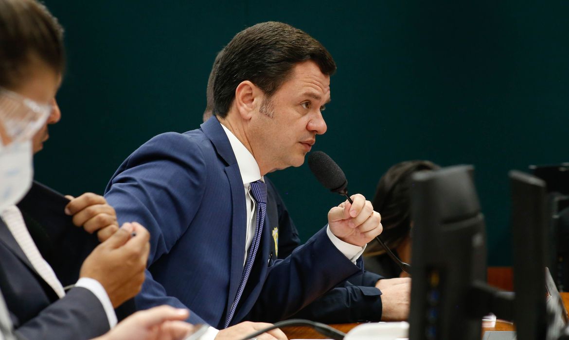 (Foto: Elaine Menke/Câmara dos Deputados) (Foto: Elaine Menke/Câmara dos Deputados)