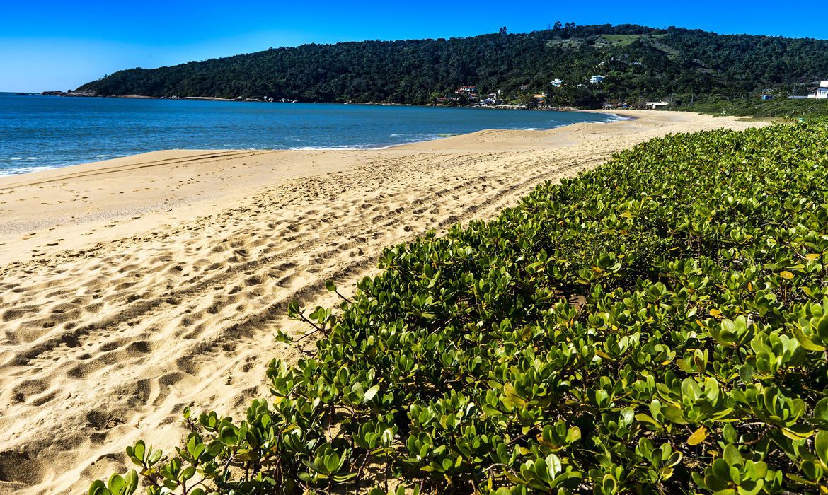(Foto: Prefeitura de Balneário Camboriú/Divulgação) (Foto: Prefeitura de Balneário Camboriú/Divulgação)